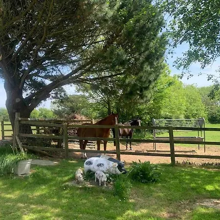 A Unique & Tranquil Smallholding Retreat Редрут Экстерьер фото