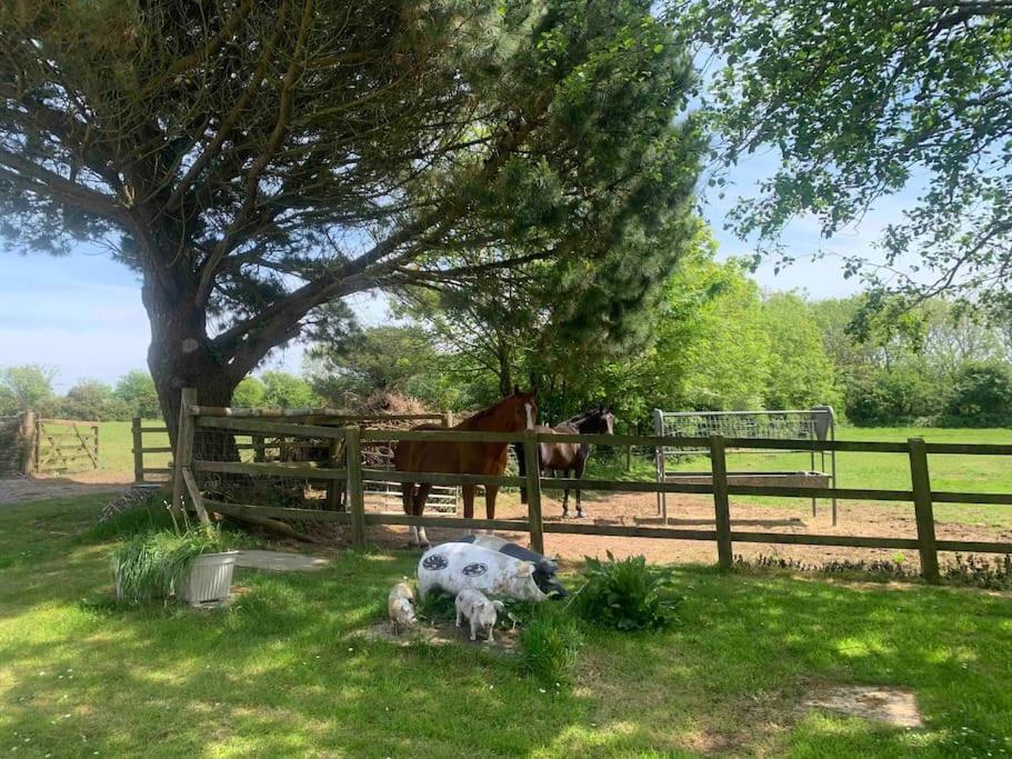 A Unique & Tranquil Smallholding Retreat Redruth