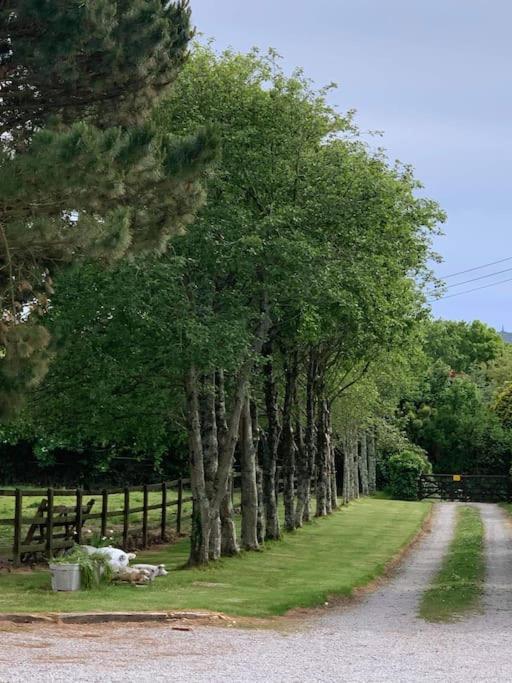 A Unique & Tranquil Smallholding Retreat * Redruth